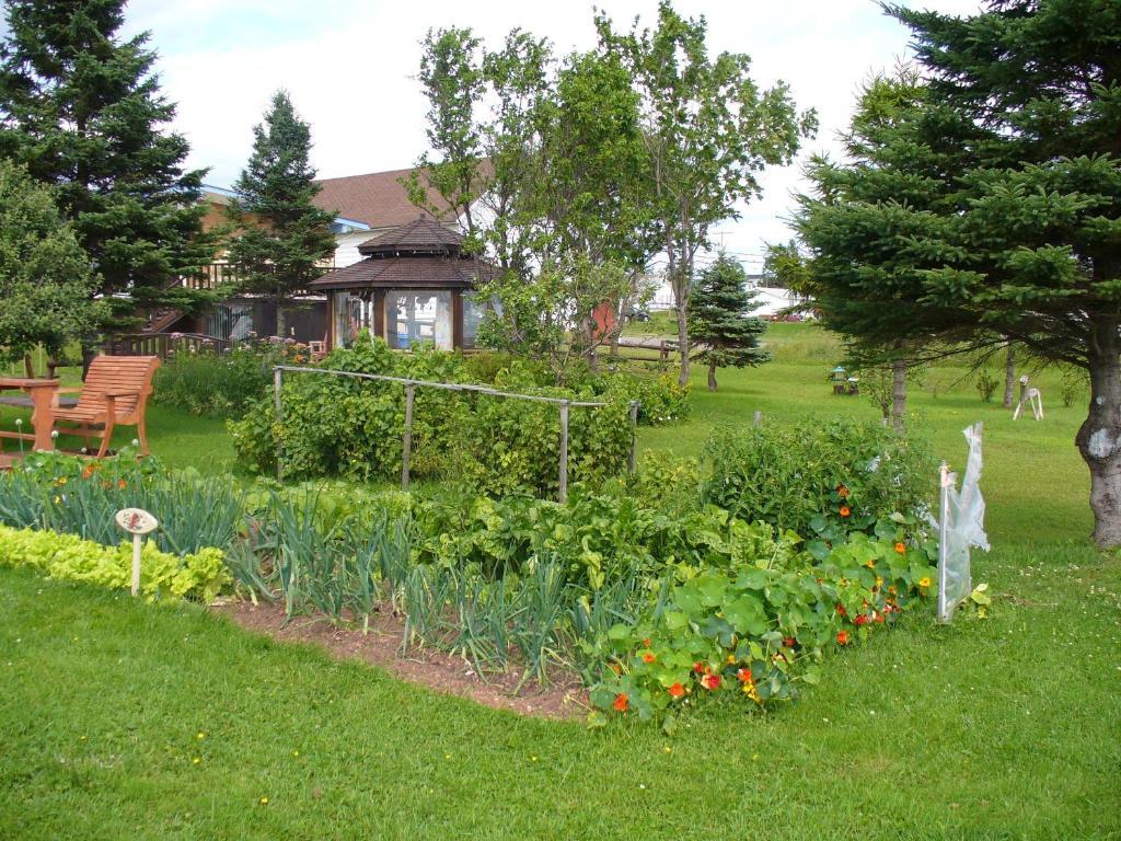 Gite Parfum De Mer Bed And Breakfast Pabos Exterior photo