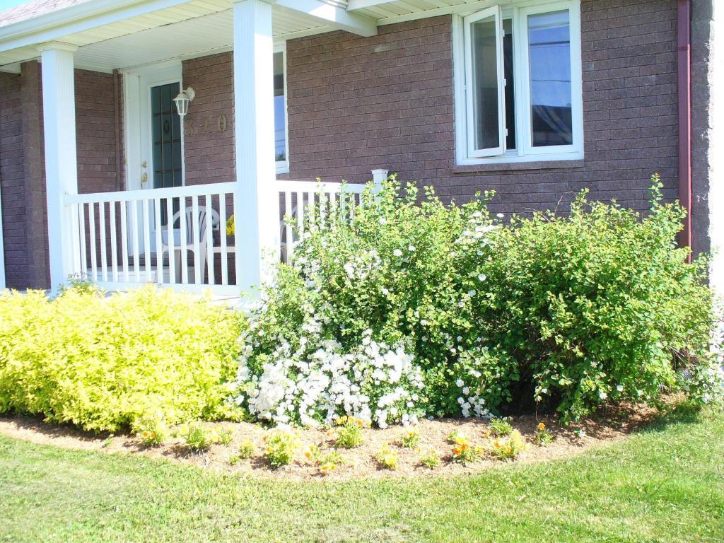 Gite Parfum De Mer Bed And Breakfast Pabos Exterior photo